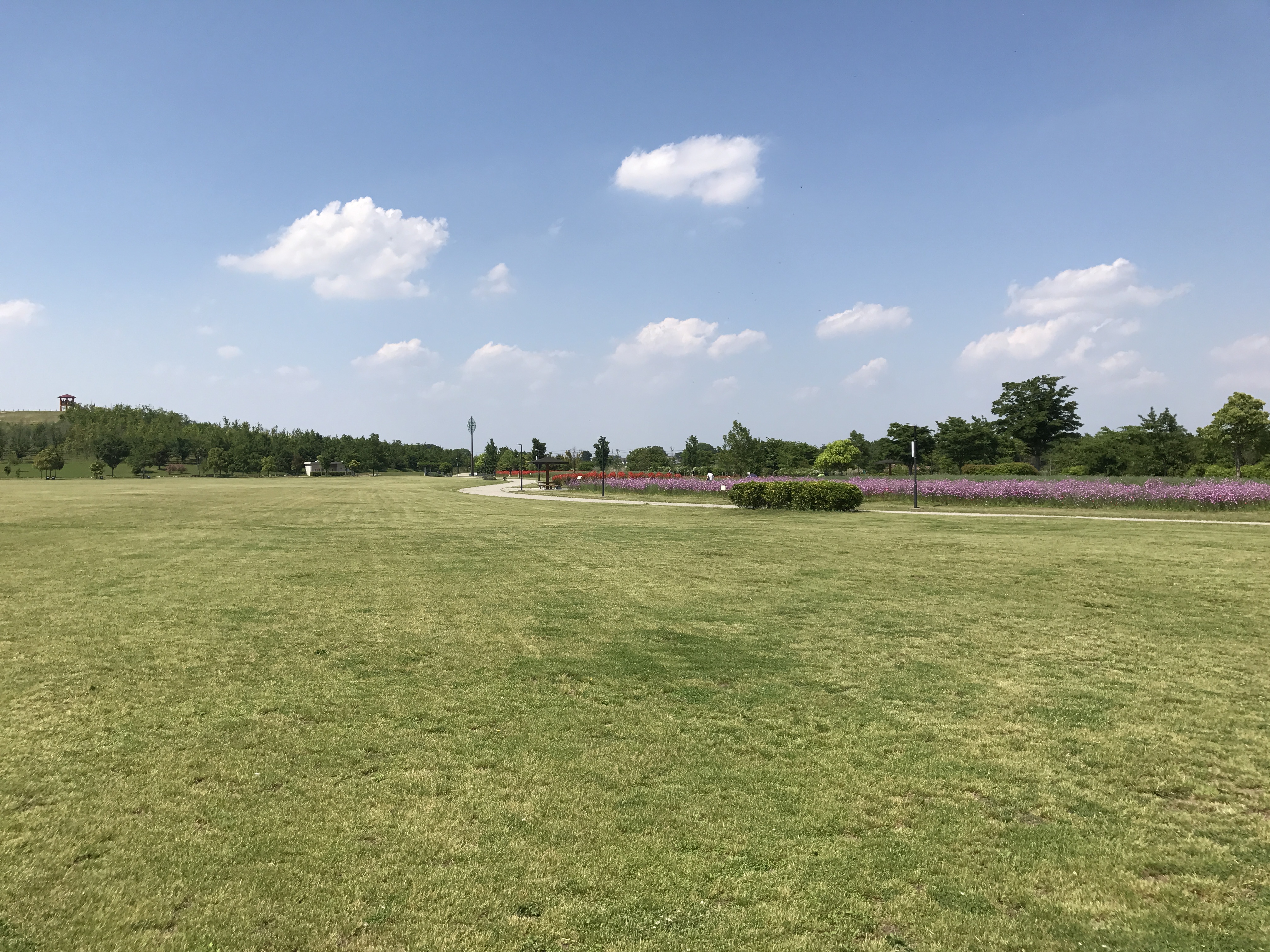 まつぶし緑の丘公園をより楽しむための方法 持って行った方がいい物リストあり なおパパlife まつぶし緑の丘公園をより楽しむための方法 持って行った方がいい物リストあり なおパパlife